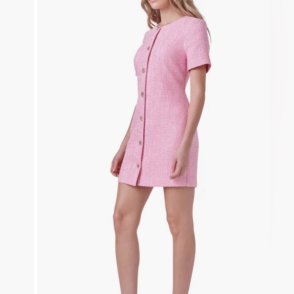 XS Endless Rose Tweed Sheath Dress - Picture 3 of 6